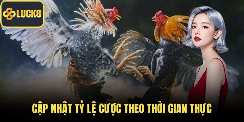 Cập nhật tỷ lệ cược theo thời gian thực