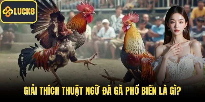 Giải thích thuật ngữ đá gà phổ biến là gì?