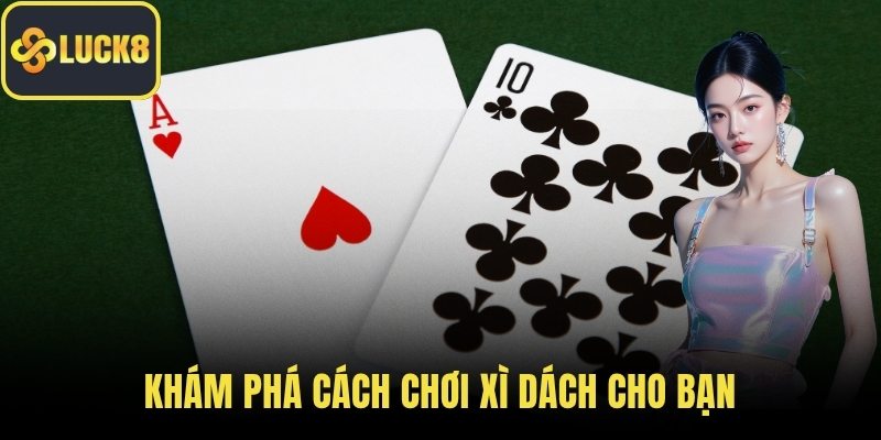 Khám phá cách chơi xì dách cho bạn