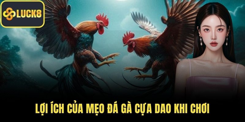 Lợi ích của mẹo đá gà cựa dao khi chơi