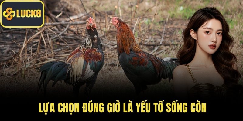 Lựa chọn đúng giờ là yếu tố sống còn