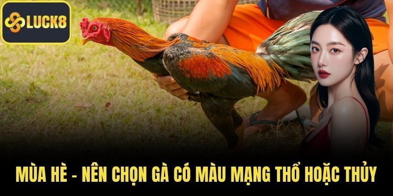 Mùa hè – nên chọn gà có màu mạng Thổ hoặc Thủy