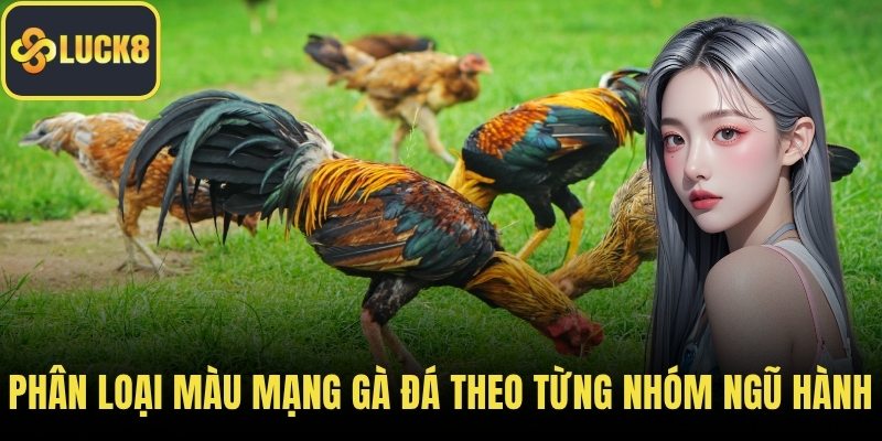 Phân loại màu mạng gà đá theo từng nhóm ngũ hành