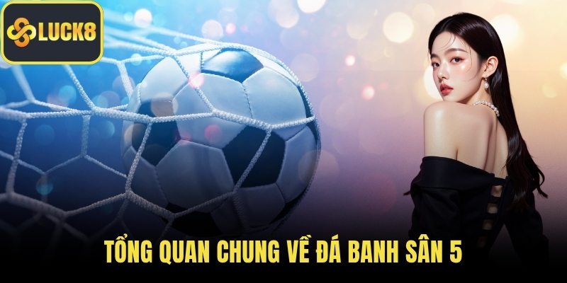 Tổng quan chung về đá banh sân 5