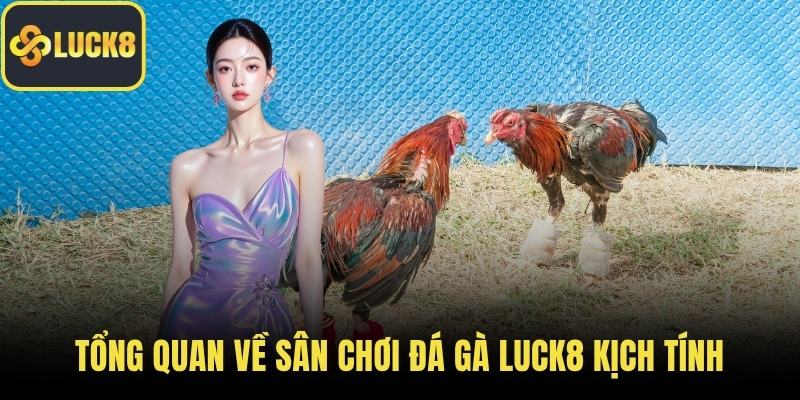 Tổng quan về sân chơi đá gà LUCK8 kịch tính